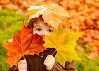 Comment reconnaître les feuilles d’automne 