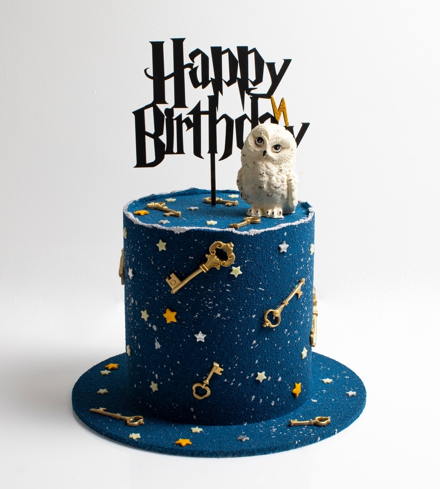 gâteau anniversaire Harry Potter